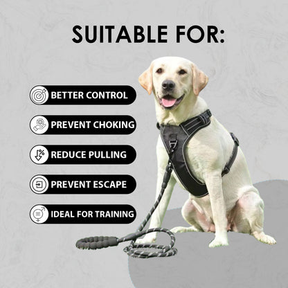 Premium Dog Harness with Leash - Puppy Harness for Training Walking, Adjustable Pet Vest Harness with Easy Control Soft Handle